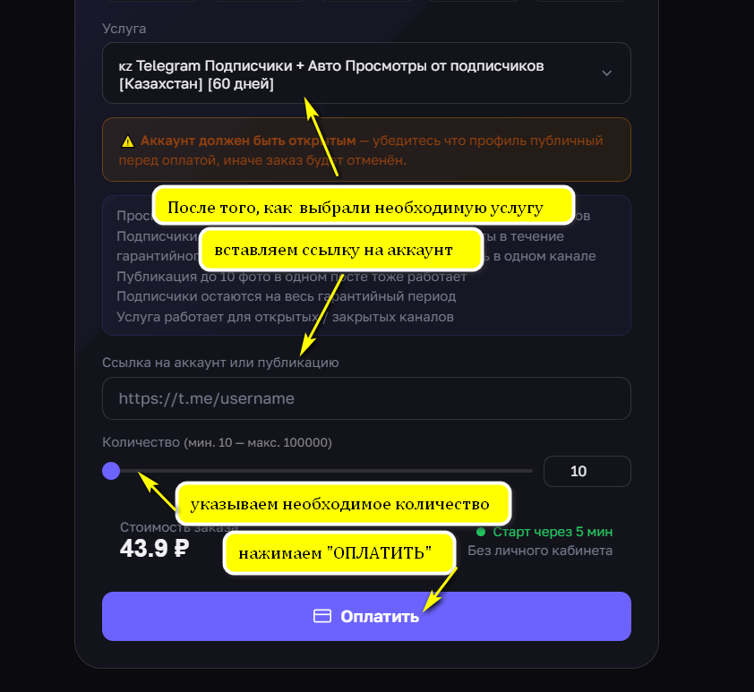 Ввод ссылки на канал, количества и оплата заказа на nakrutka.online